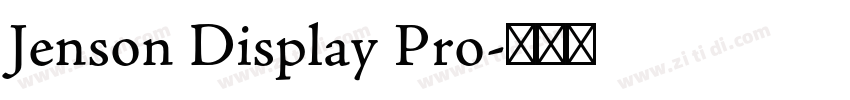 Jenson Display Pro字体转换